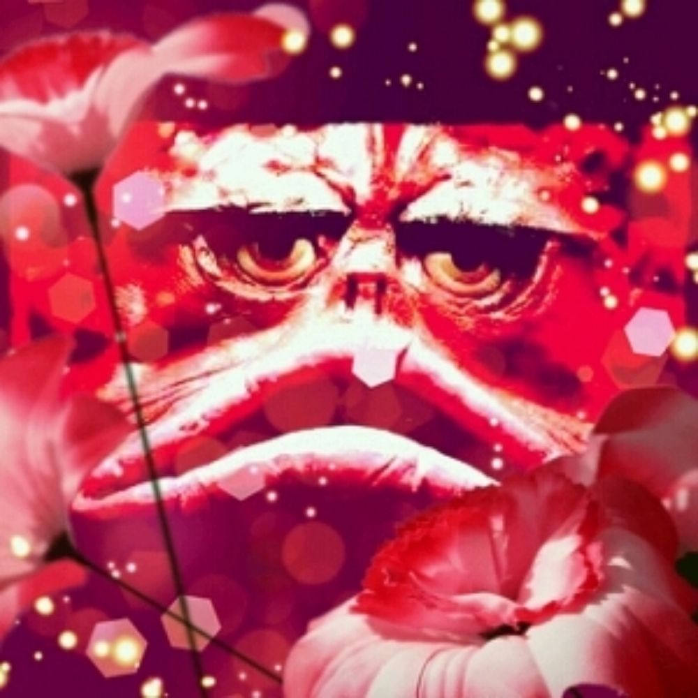 梅子