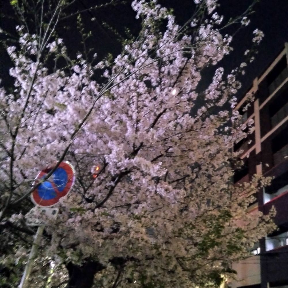 文庫