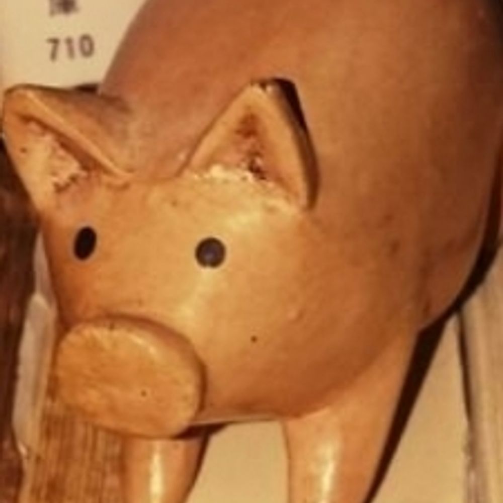 りんごのこ