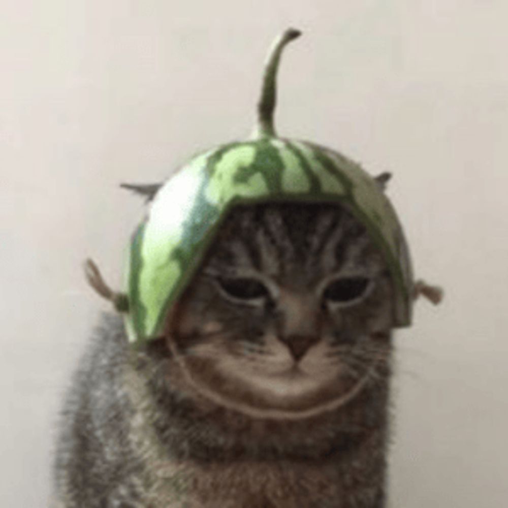 Melon 🍉 