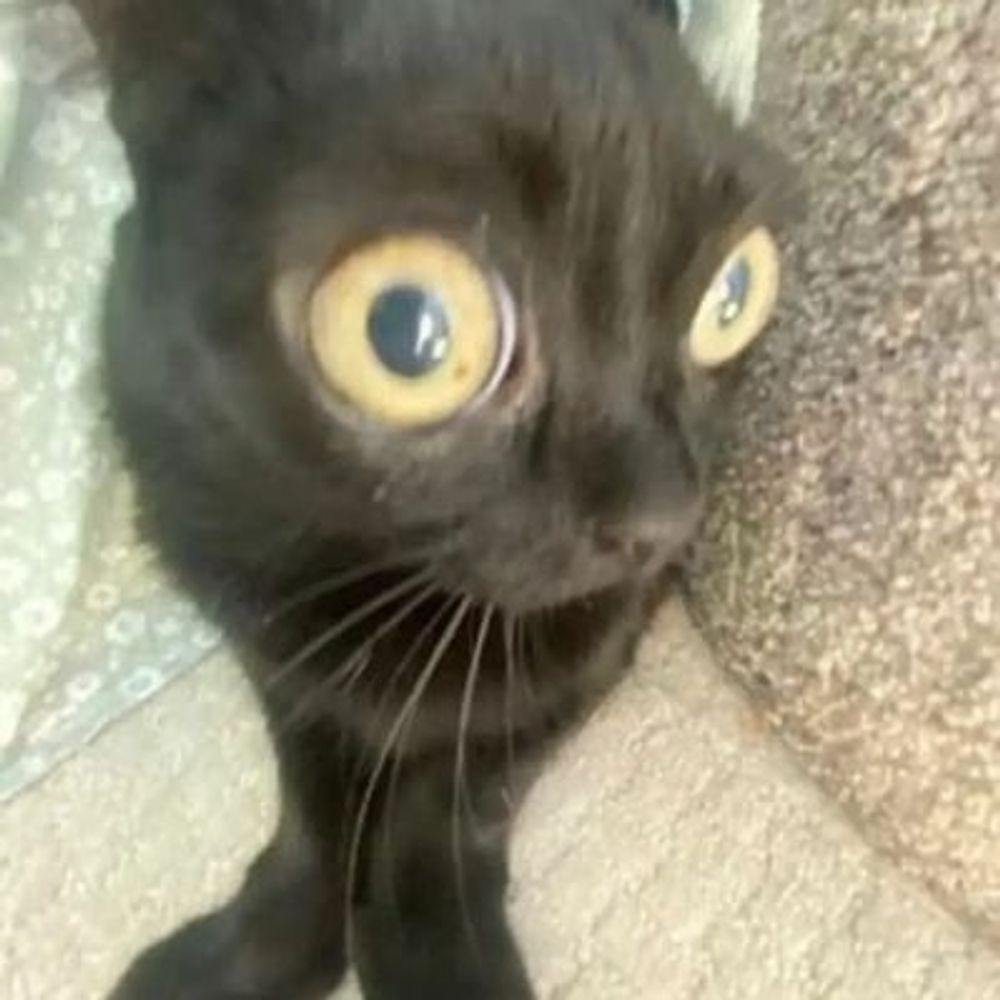 PabloA