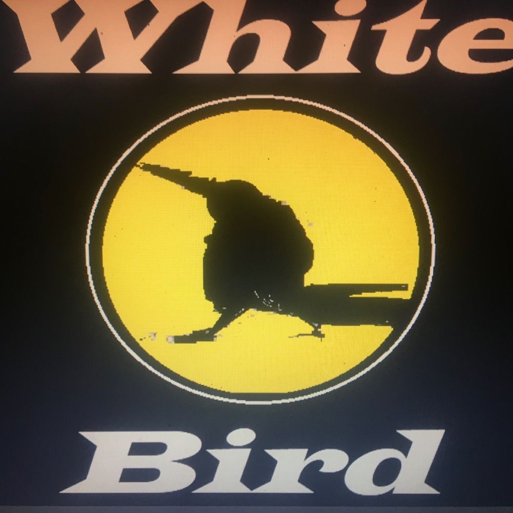 White Bird Music