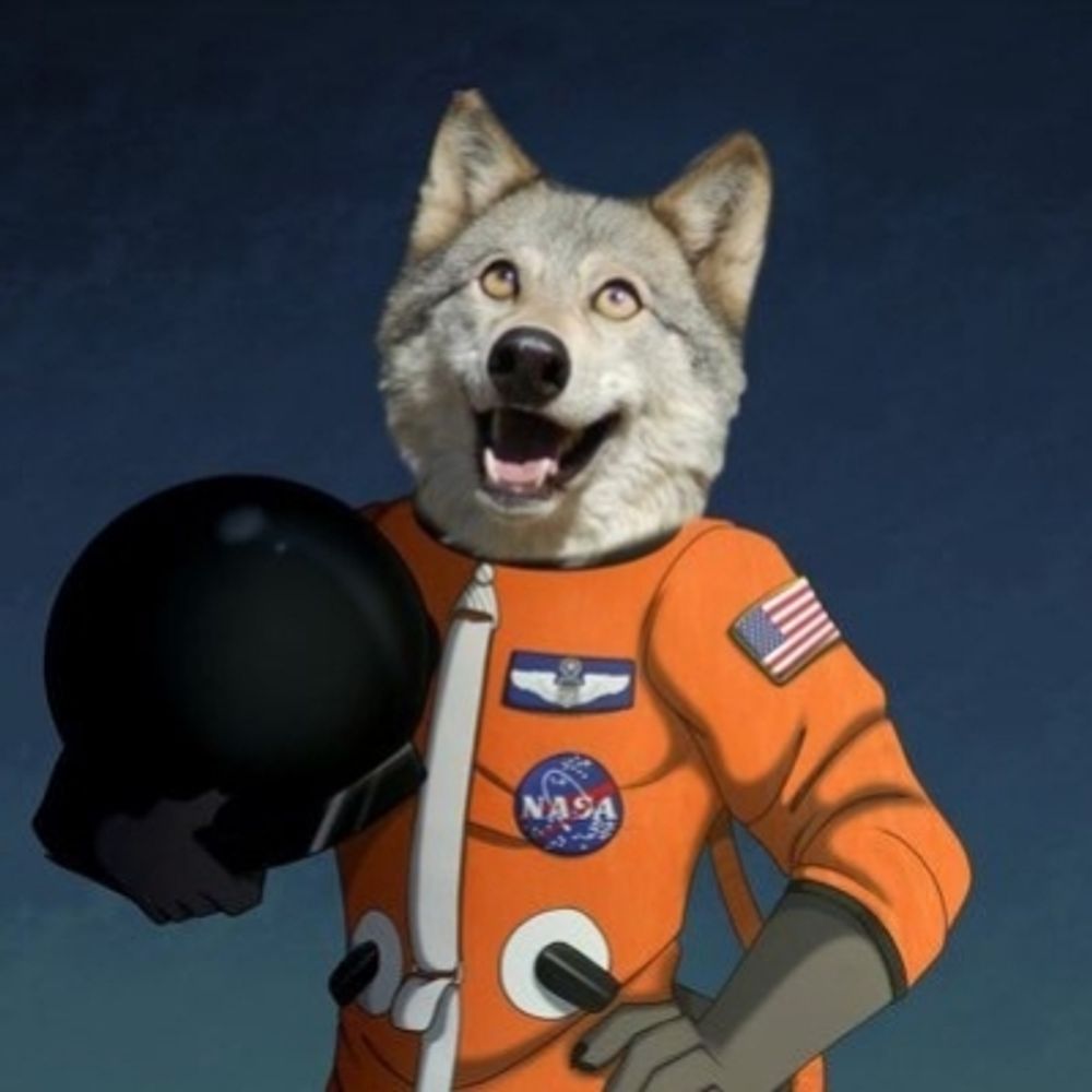 Dakota Astrowolf