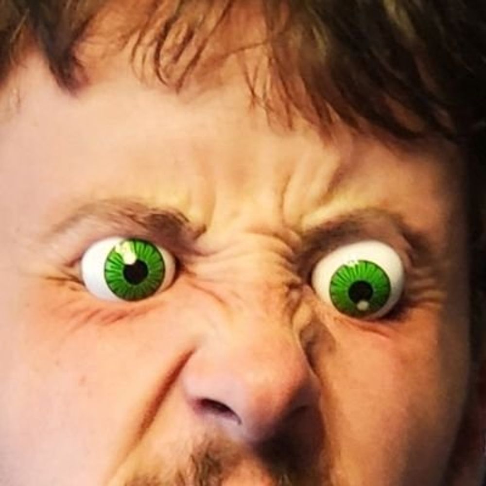 dashingbag