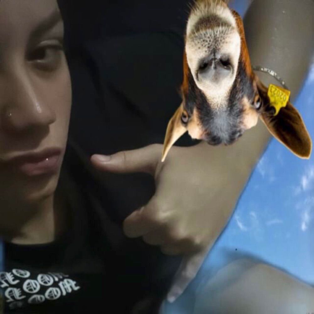 andrade