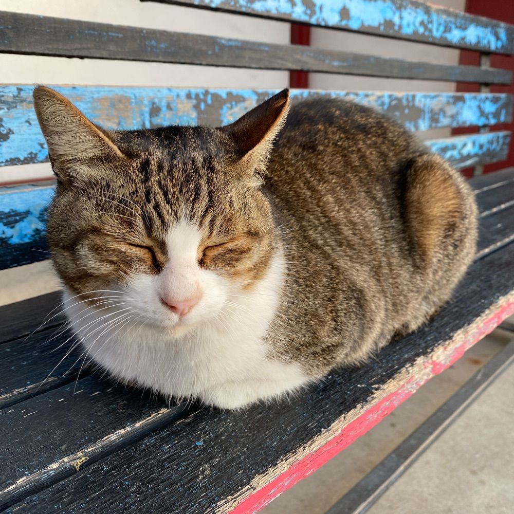 みっけ