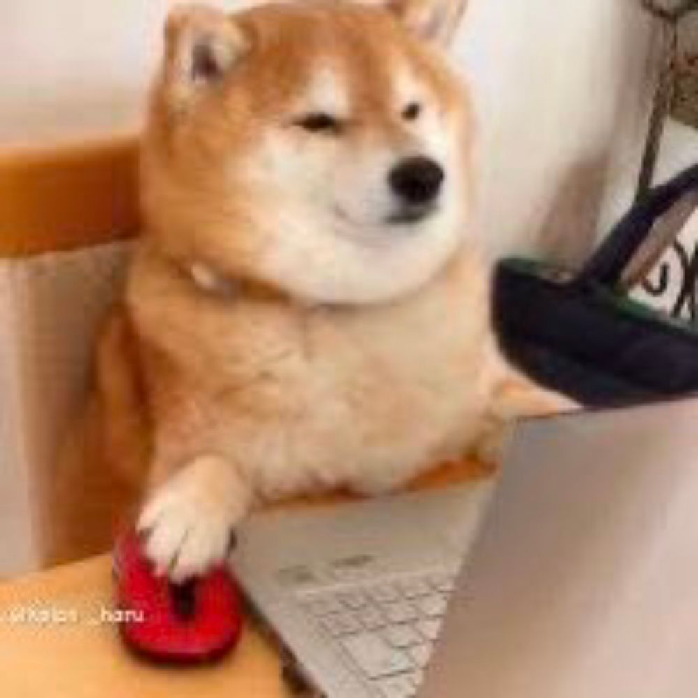User avatar