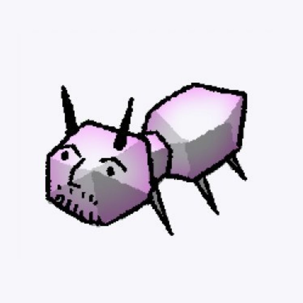 tim