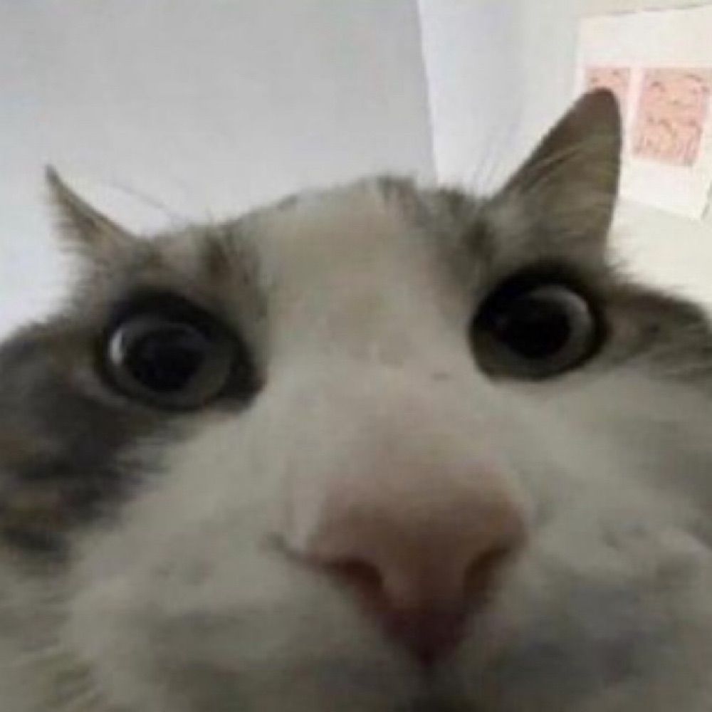 sykflit