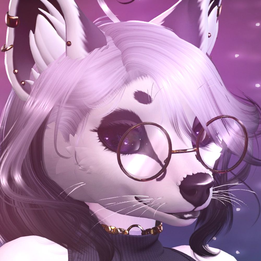 Niku 🖤✨
