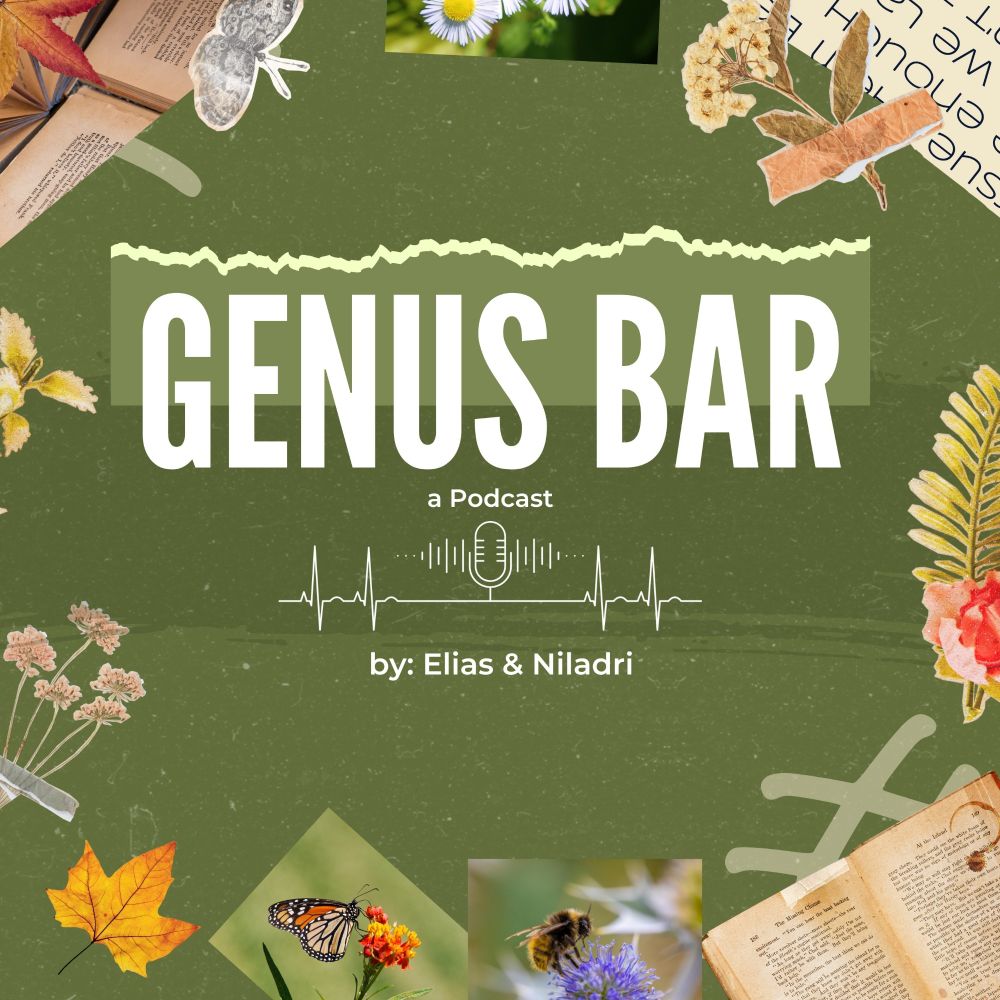 Genus Bar Podcast