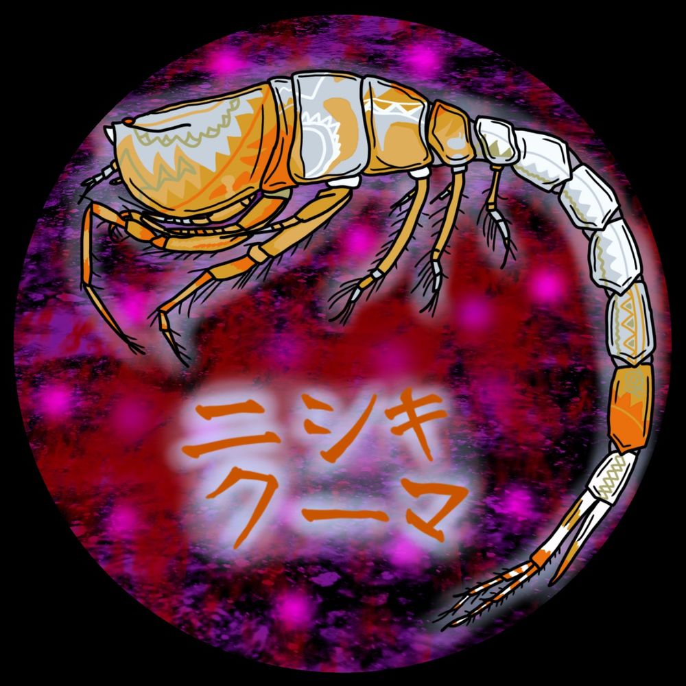 二シキク一マ