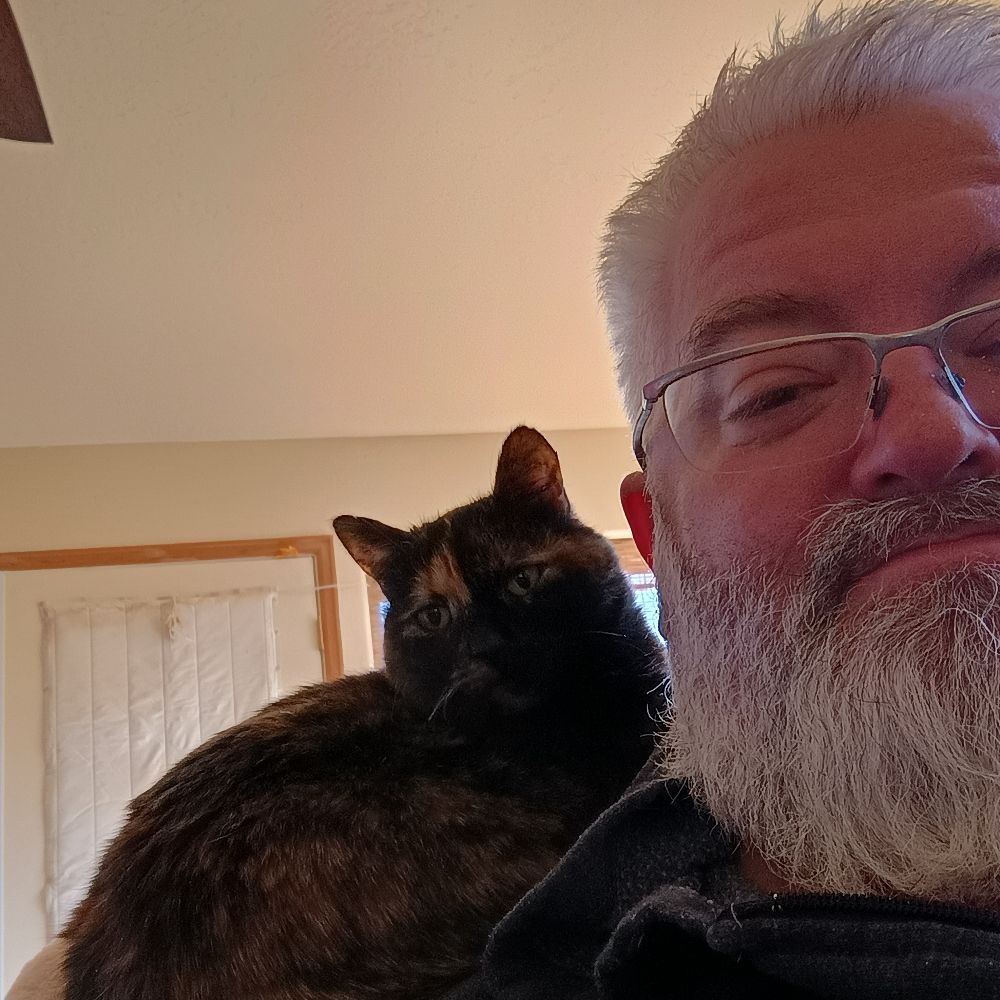 MediumCatDad