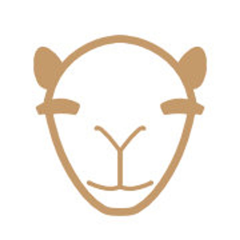The Camel Project