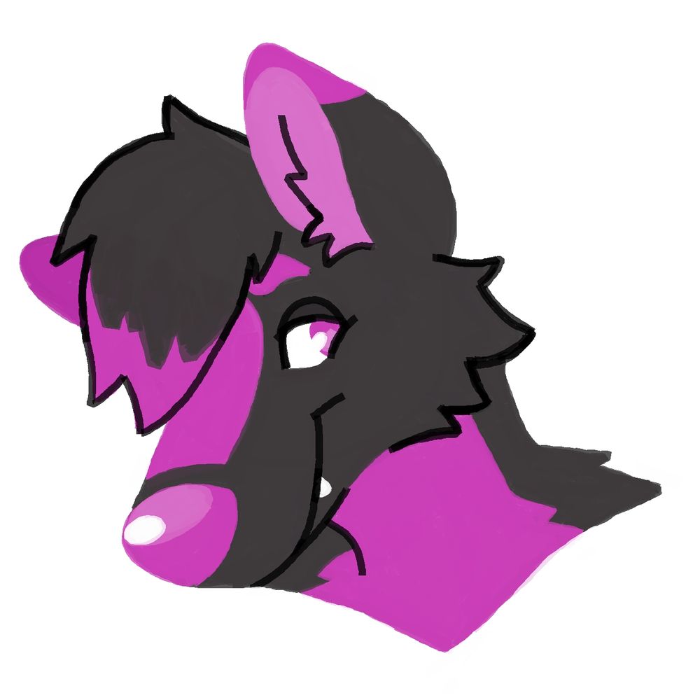 NightWolf123777 