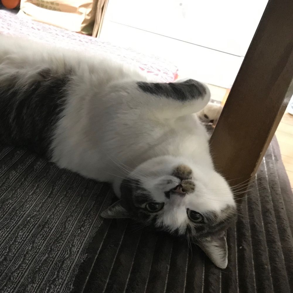 かずき🌀