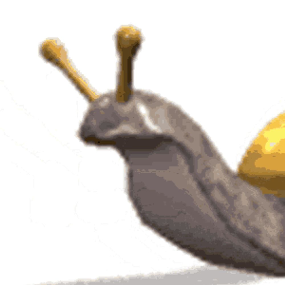 Snail