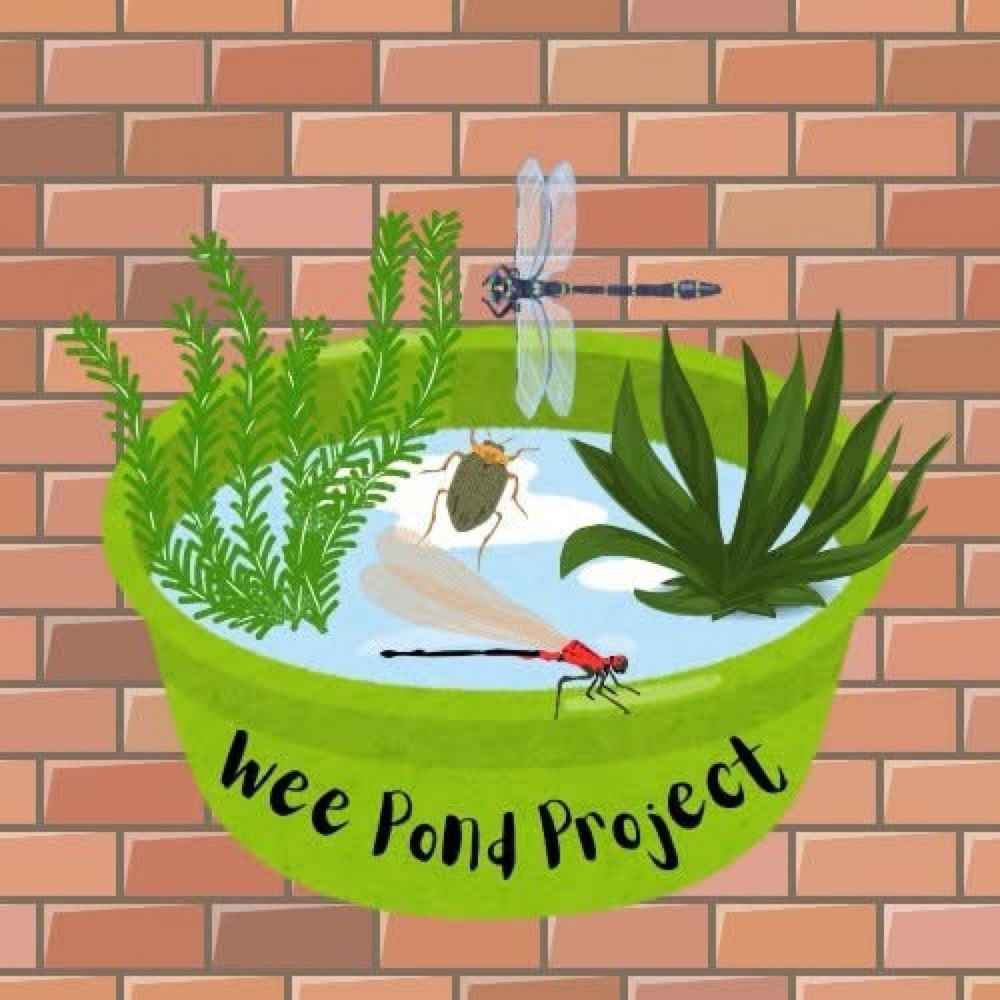 Wee Pond Project
