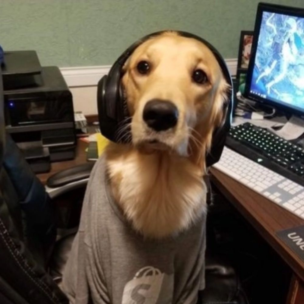 Isa!??! 