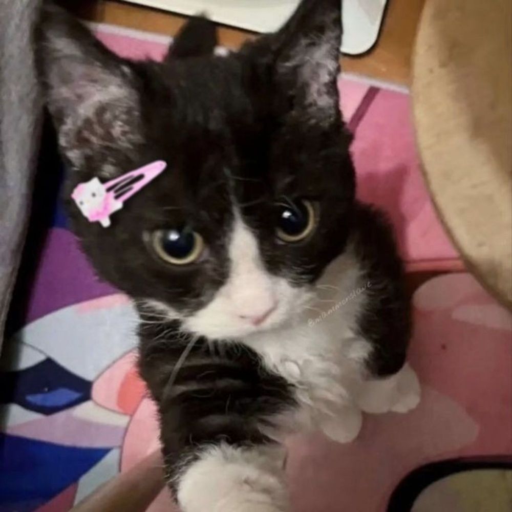 mo