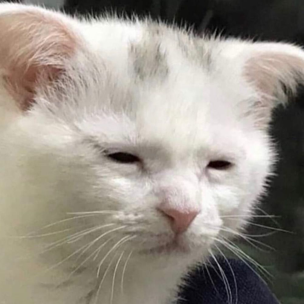 Manué