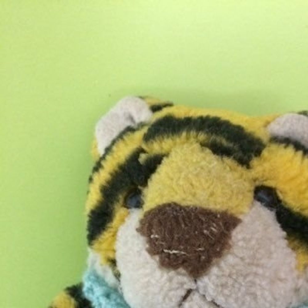 えす🐯