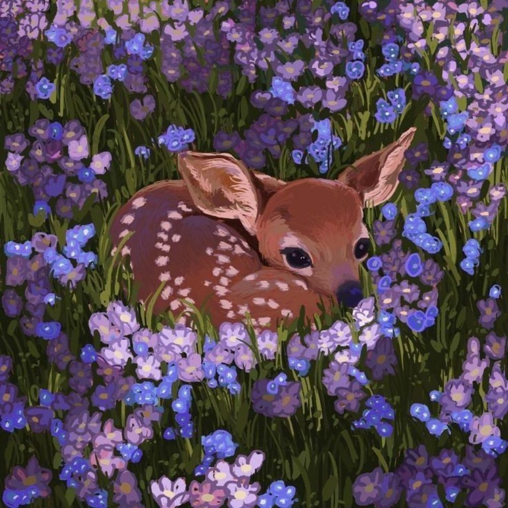 Oh my deer