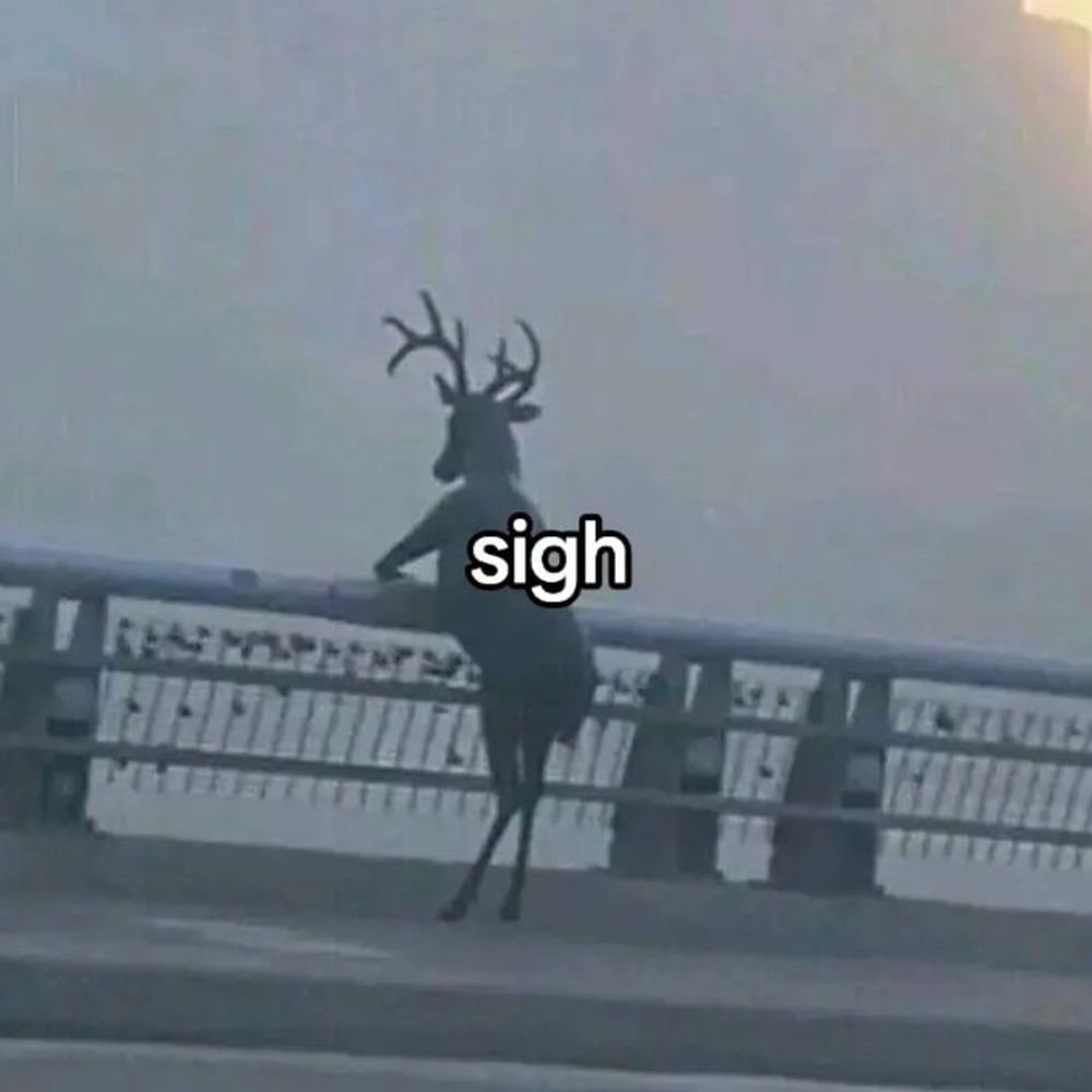 Oh my deer