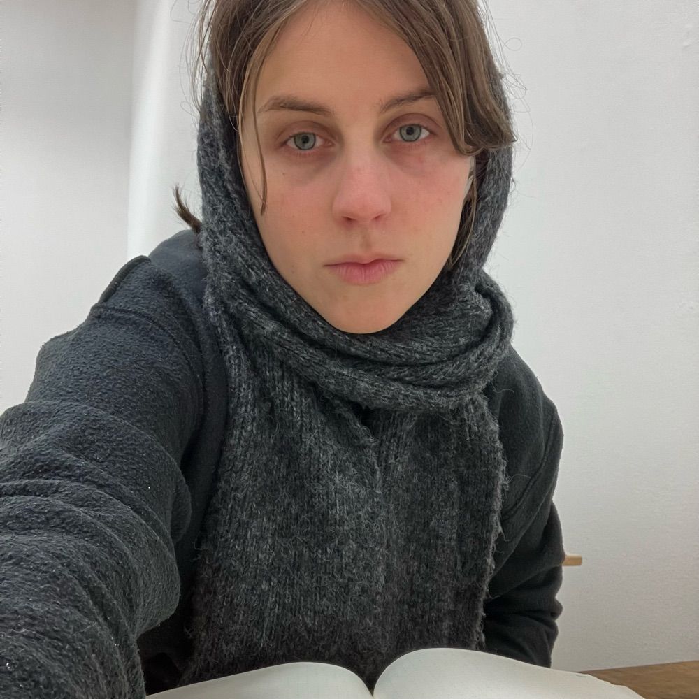 johanna disch