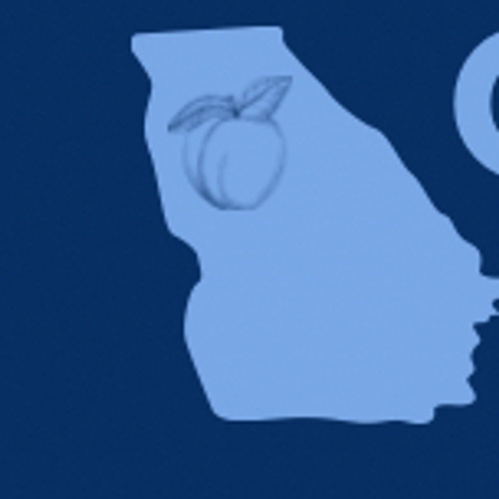 Georgia Women for Democracy