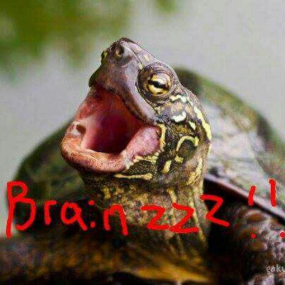 SizzlingZombieTurtle