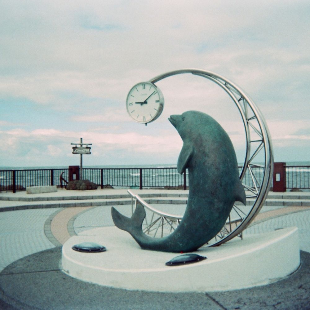 クジラ23