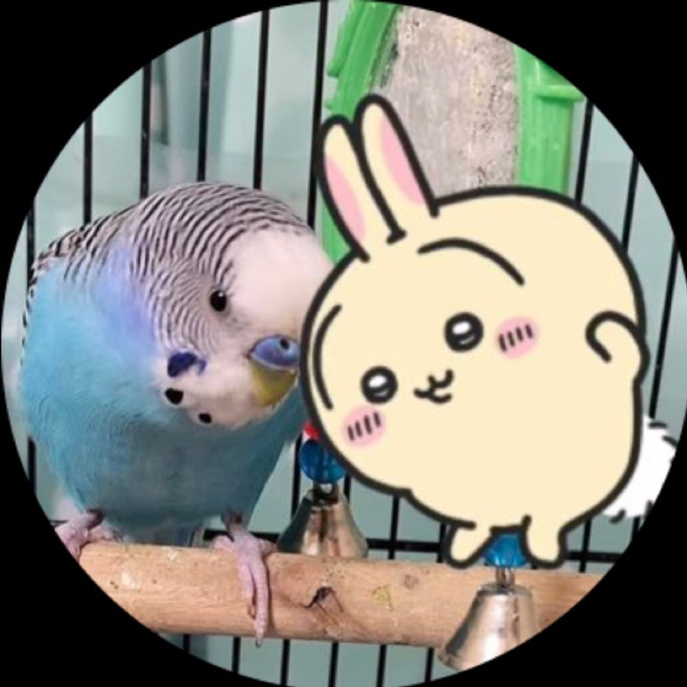 黒澤さん‪🦜