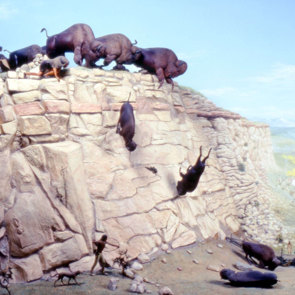 Rewilding History