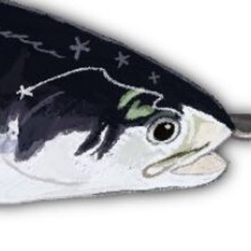 Ben 𓆟