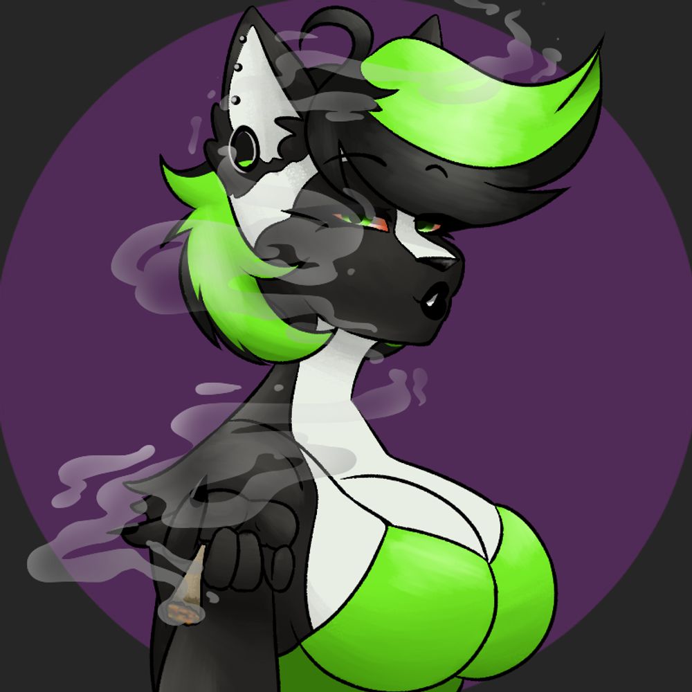 Rayn