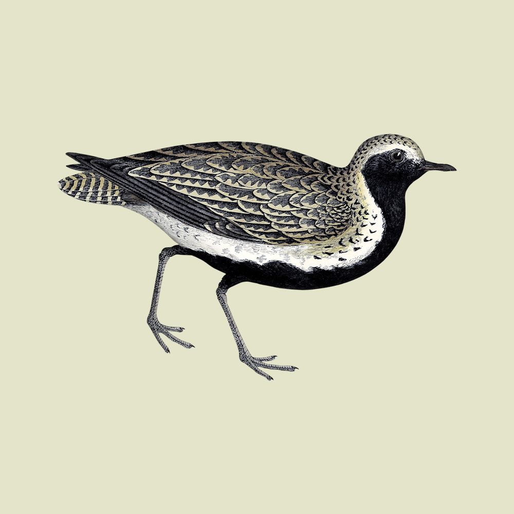 Hoʻomākaukau