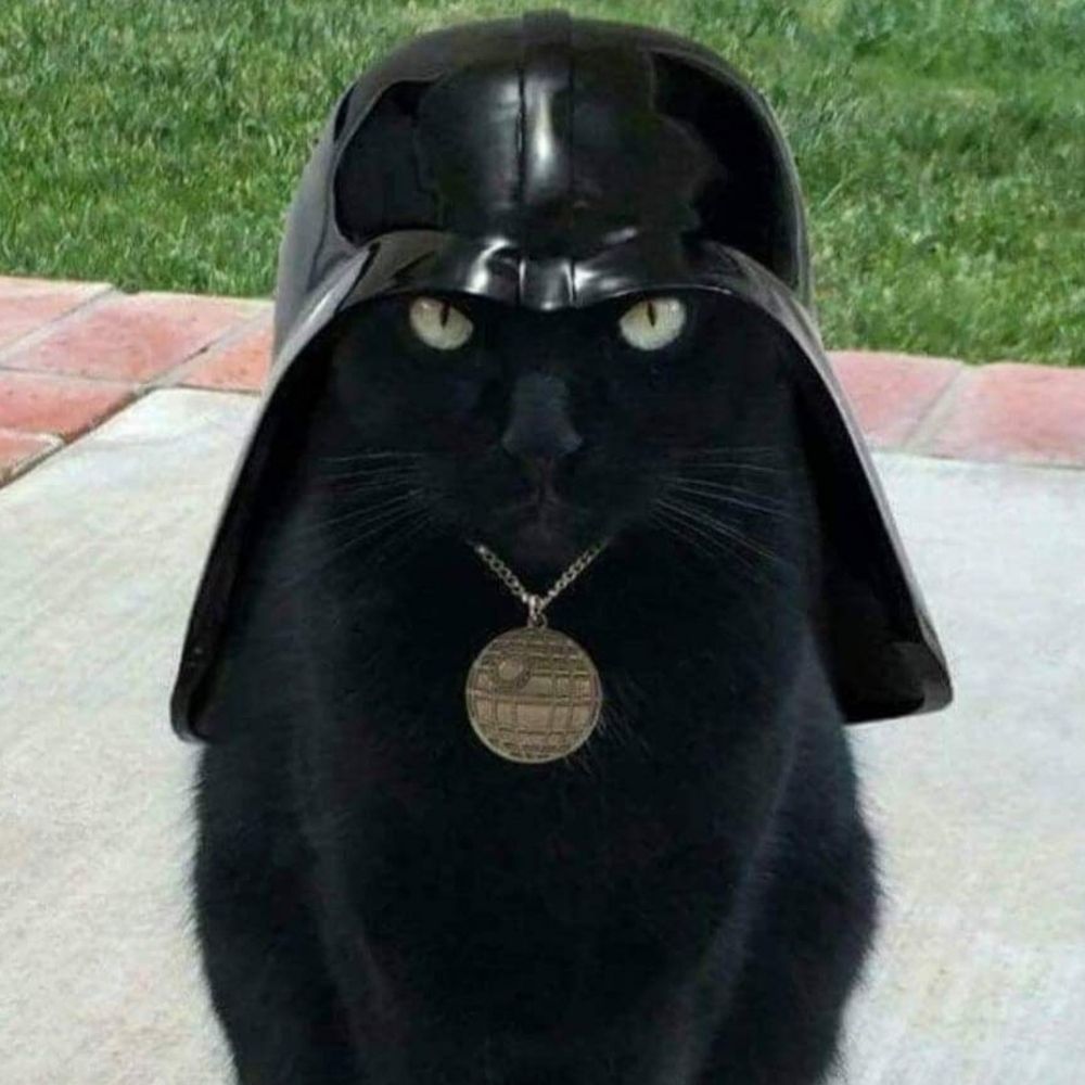 VaderCat