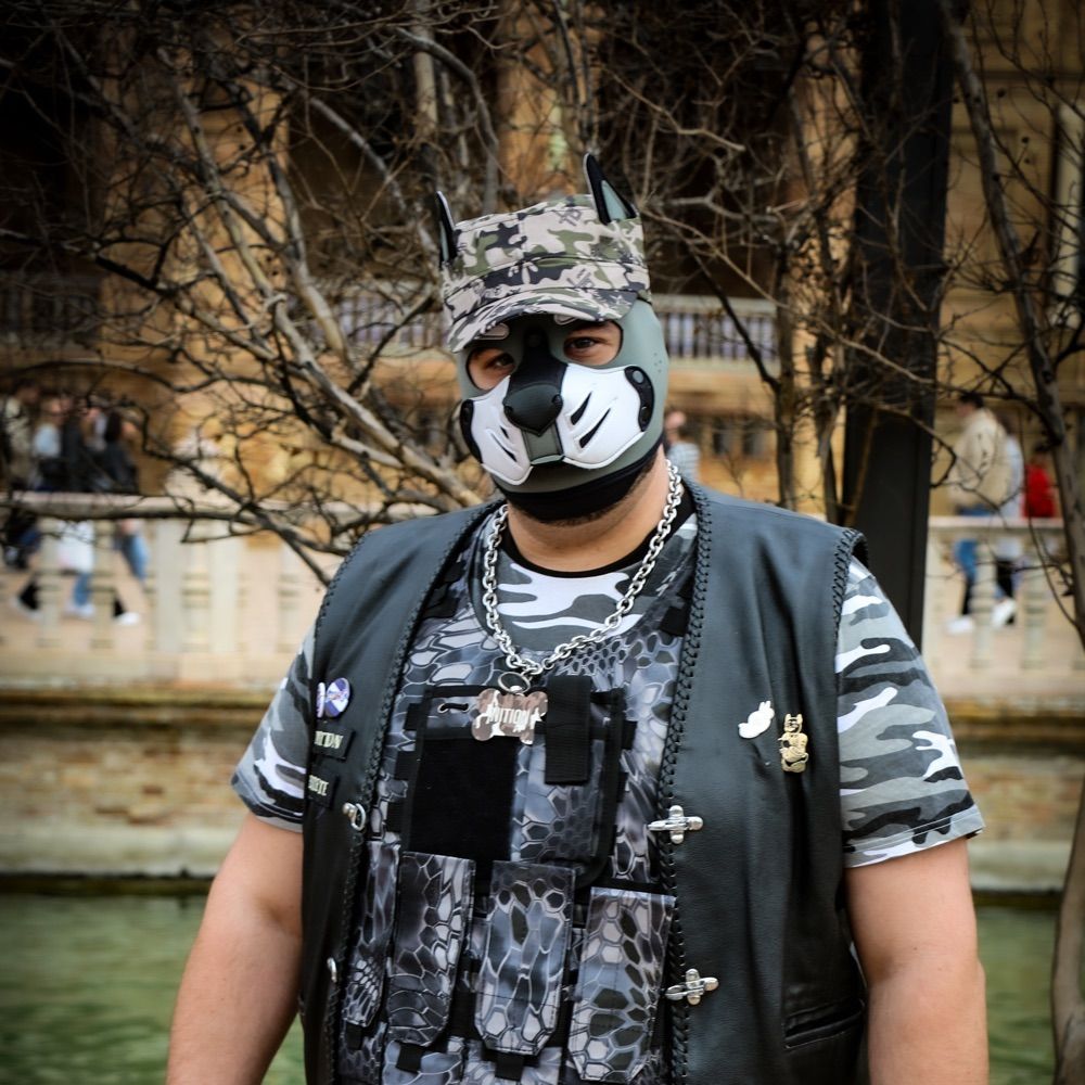 Nition_Pup