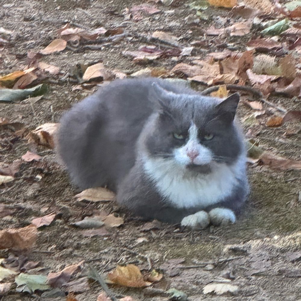 April