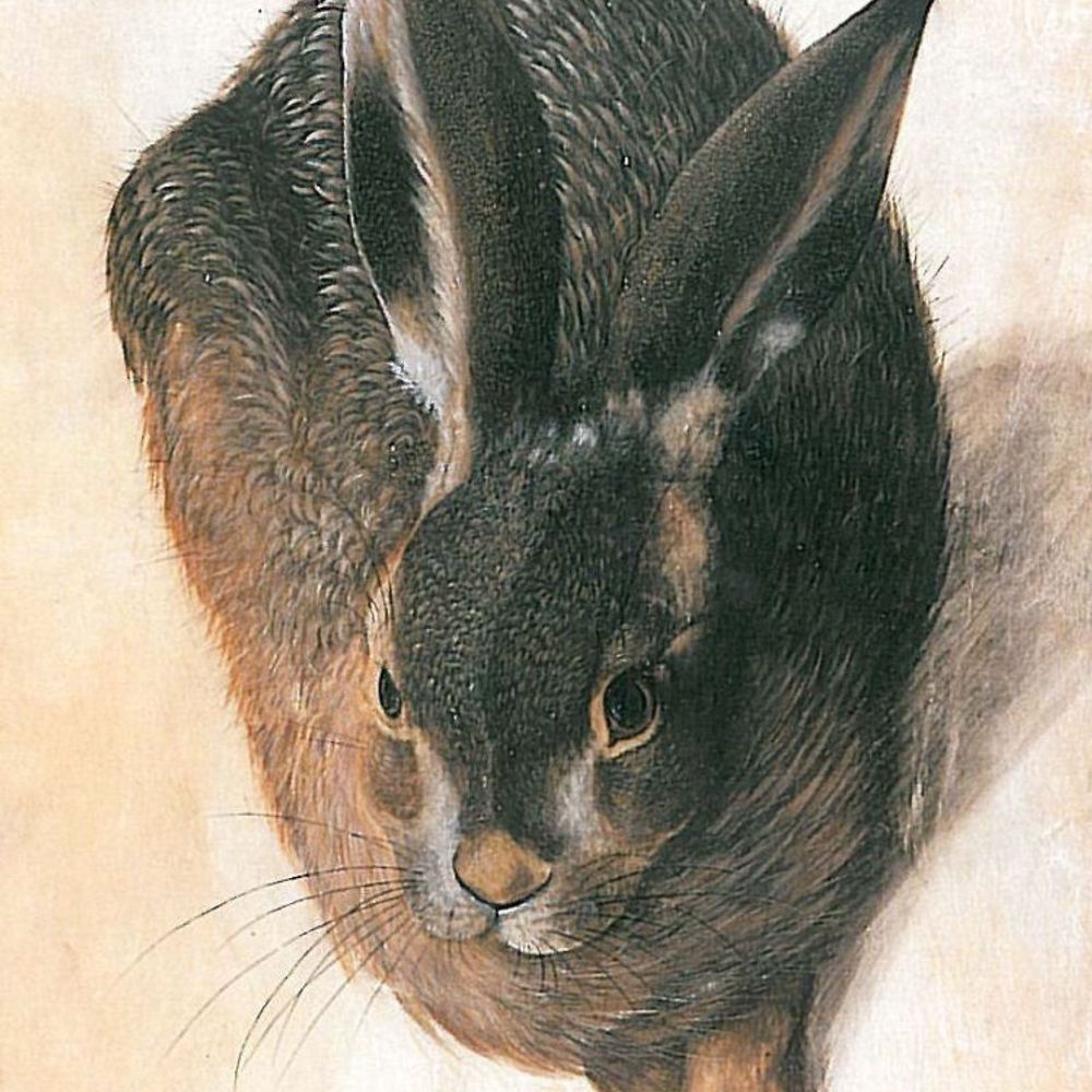 noted friend of rabbit