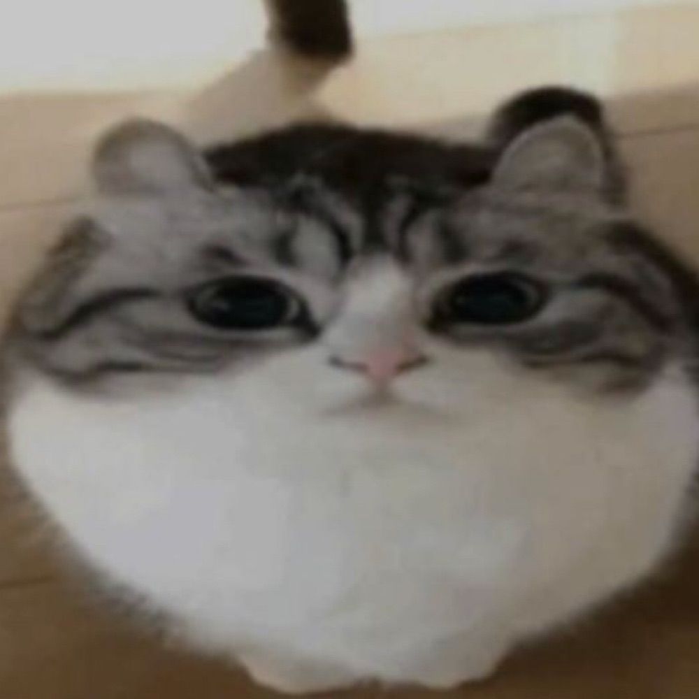 lou npc
