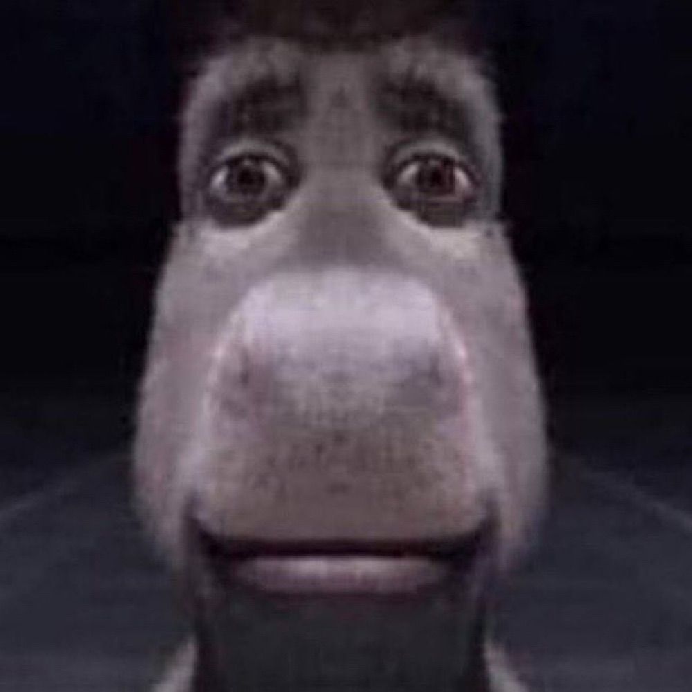 sasa