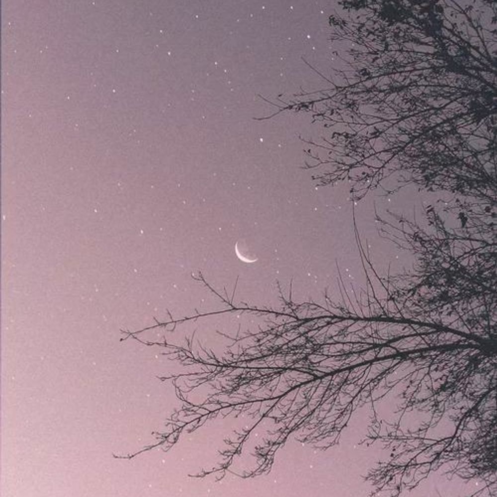 Rainessfalling