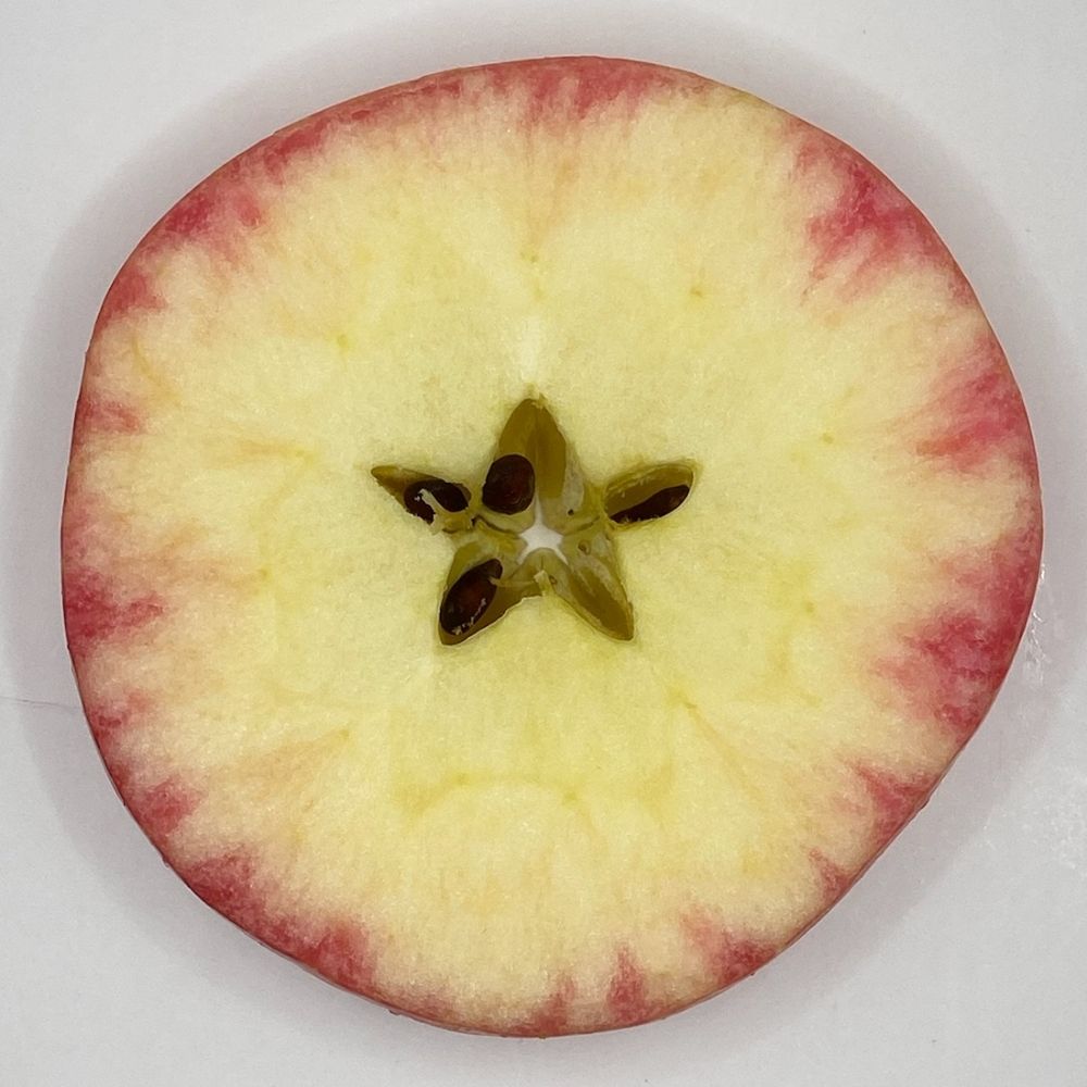 Nick Moreno 🍎🧪