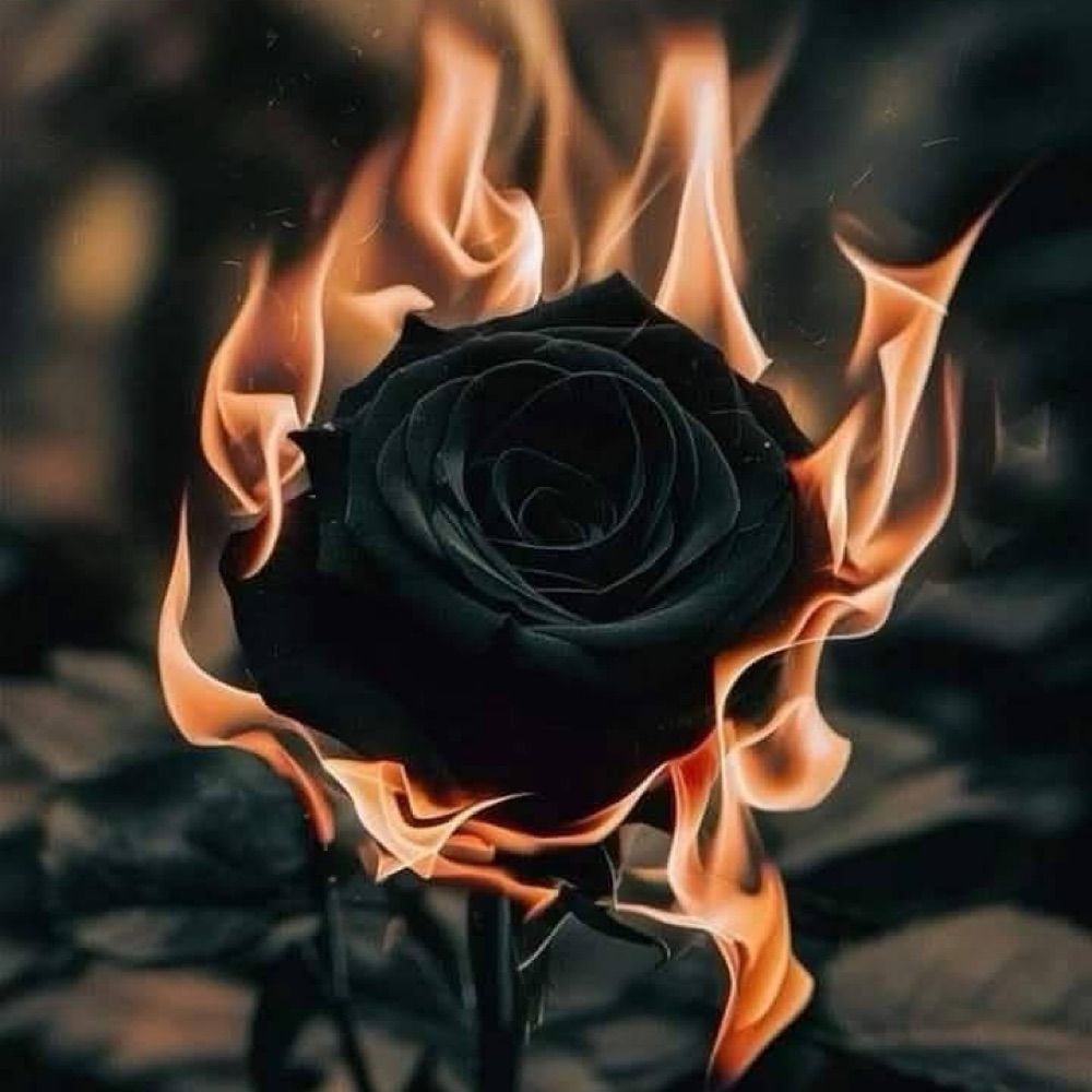 Old Soul