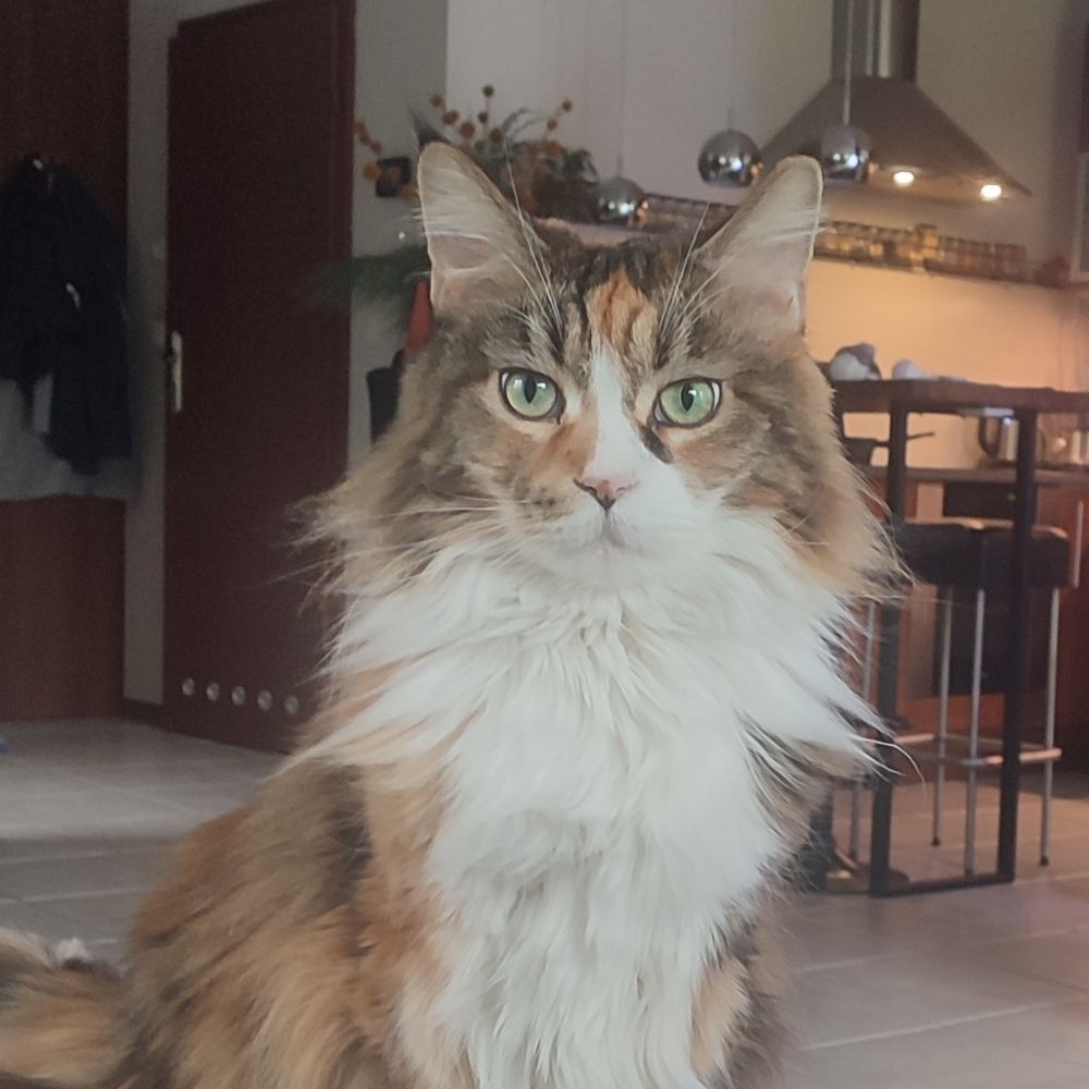 agnieszka432.bsky.social