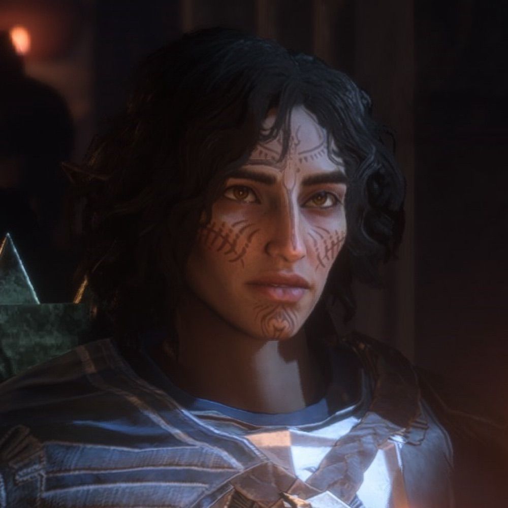 grey warden enthusiast