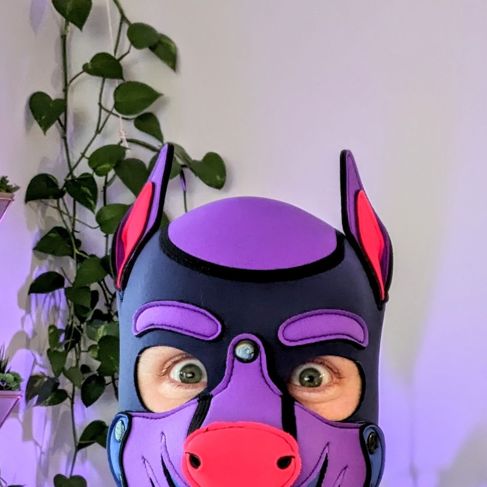 Pup Crow 🔜 Market Days