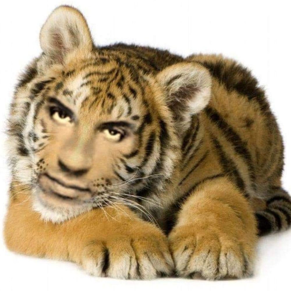 Kevito